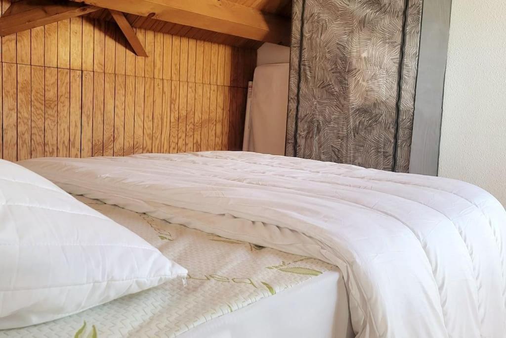 Apartament Duplex 4/6P Le Familial Laveissière Zewnętrze zdjęcie